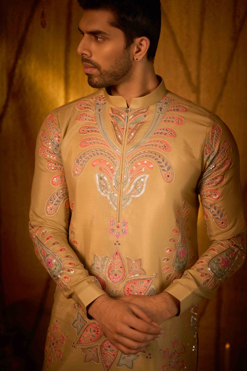 Beige Kurta Embroidered