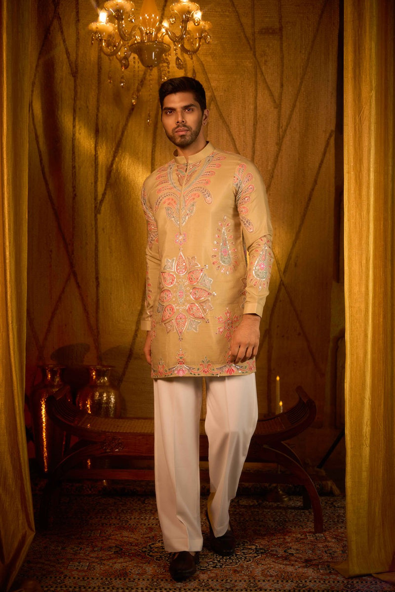 Beige Kurta Embroidered